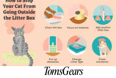 How to Stop Your Cat from Stepping in Poop in the Litter Box?