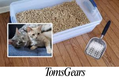 What Kind of Litter Box Do You Need for Pine Pellets?